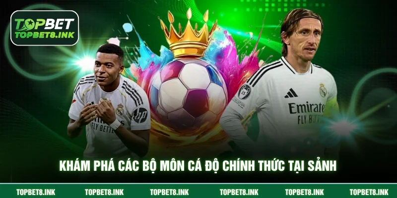 Khám phá các bộ môn cá độ chính thức tại sảnh