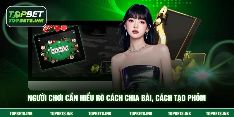 Người chơi cần hiểu rõ cách chia bài, cách tạo phỏm