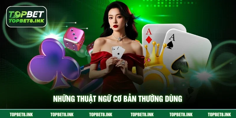 Những thuật ngữ cơ bản thường dùng