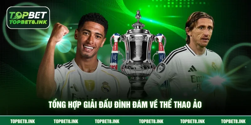 Tổng hợp giải đấu đình đám về thể thao ảo
